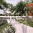  Land for sale in Yaxkukul, Yucatan, Yaxkukul, Yucatan