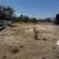  Terrain for rent in Baja California Sur, La Paz, Baja California Sur