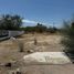  Terrain for rent in Baja California Sur, La Paz, Baja California Sur