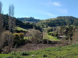  Terrain for sale in Navidad, Cardenal Caro, Navidad