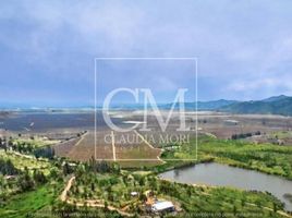  Land for sale in Lolol, Colchagua, Lolol