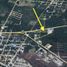  Land for sale in Motul, Yucatan, Motul
