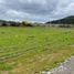  Land for sale in Pencahue, Talca, Pencahue