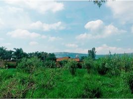  Terreno (Parcela) en venta en El Salto, Jalisco, El Salto