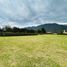 Terrain à vendre à La Calera, Cundinamarca, La Calera