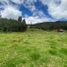  Land for sale in Zipaquira, Cundinamarca, Zipaquira