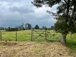 Estudio Casa en venta en Cogua, Cundinamarca, Cogua