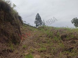  Land for sale in Jamundi, Valle Del Cauca, Jamundi