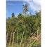  Land for sale in San Andres Y Providencia, San Andres, San Andres Y Providencia