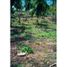  Land for sale in San Andres San Andres Y Providencia, San Andres, San Andres Y Providencia