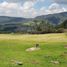 Terrain à vendre à La Calera, Cundinamarca, La Calera
