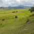 Terrain à vendre à La Calera, Cundinamarca, La Calera
