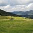 Terrain à vendre à La Calera, Cundinamarca, La Calera