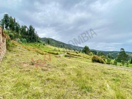  Land for sale in Paipa Boyaca, Paipa