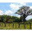  Land for sale in Valle Del Cauca, Jamundi, Valle Del Cauca