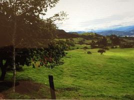 Studio Villa for sale in Sesquile, Cundinamarca, Sesquile