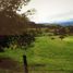 Studio Villa for sale in Sesquile, Cundinamarca, Sesquile