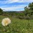  Terreno (Parcela) en venta en Valle Del Cauca, La Cumbre, Valle Del Cauca