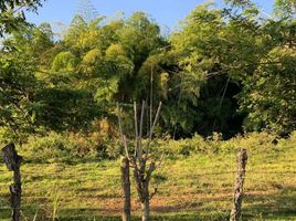  Terreno (Parcela) en venta en Valle Del Cauca, Jamundi, Valle Del Cauca