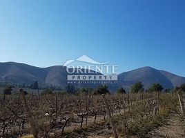  Terrain for sale in Choapa, Coquimbo, Illapel, Choapa