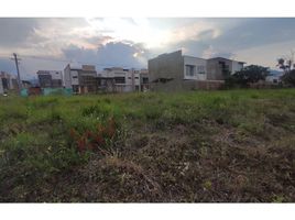  Land for sale in Valle Del Cauca, Jamundi, Valle Del Cauca