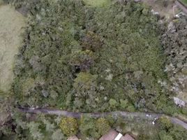  Land for sale in Chia, Cundinamarca, Chia