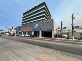 75 SqM Office for rent in Tijuana, Baja California, Tijuana