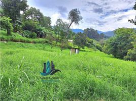  Grundstück zu verkaufen in Boquete, Chiriqui, Bajo Boquete