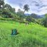  Land for sale in Chiriqui, Bajo Boquete, Boquete, Chiriqui