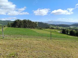  Terrain for sale in Cayambe, Pichincha, Cayambe, Cayambe