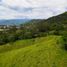  Land for sale in Valparaiso Antioquia, Valparaiso