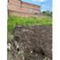  Land for sale in Tonala, Jalisco, Tonala