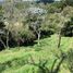  Land for sale in Rionegro, Antioquia, Rionegro