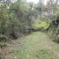  Land for sale in Rionegro, Antioquia, Rionegro