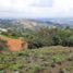  Land for sale in Rionegro, Antioquia, Rionegro