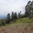  Land for sale in Rionegro, Antioquia, Rionegro