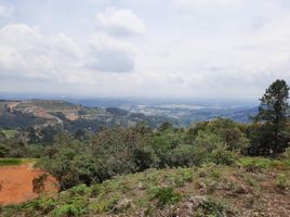  Land for sale in Rionegro, Antioquia, Rionegro