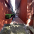 2 Habitación Apartamento en venta en Cuernavaca, Morelos, Cuernavaca