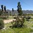  Terreno (Parcela) en venta en Zaragoza, Coahuila, Zaragoza