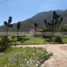  Terreno (Parcela) en venta en Zaragoza, Coahuila, Zaragoza