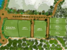  Land for sale in Allende, Guanajuato, Allende