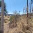  Land for sale in Villa Corona, Jalisco, Villa Corona