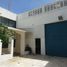 284 平米 Office for rent in Campeche, Carmen, Campeche