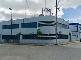 284 平米 Office for rent in Campeche, Carmen, Campeche