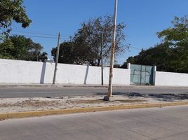 在Campeche出售的 土地, Carmen, Campeche