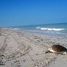  Land for sale in Carmen, Campeche, Carmen