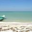  Land for sale in Carmen, Campeche, Carmen