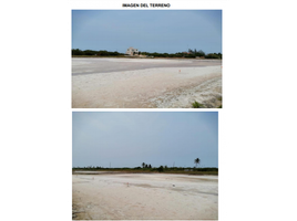 Terrain à vendre à Dzidzantun, Yucatan, Dzidzantun
