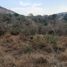 Land for sale in Temixco, Morelos, Temixco