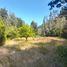  Land for sale in Cobquecura, Nuble, Cobquecura